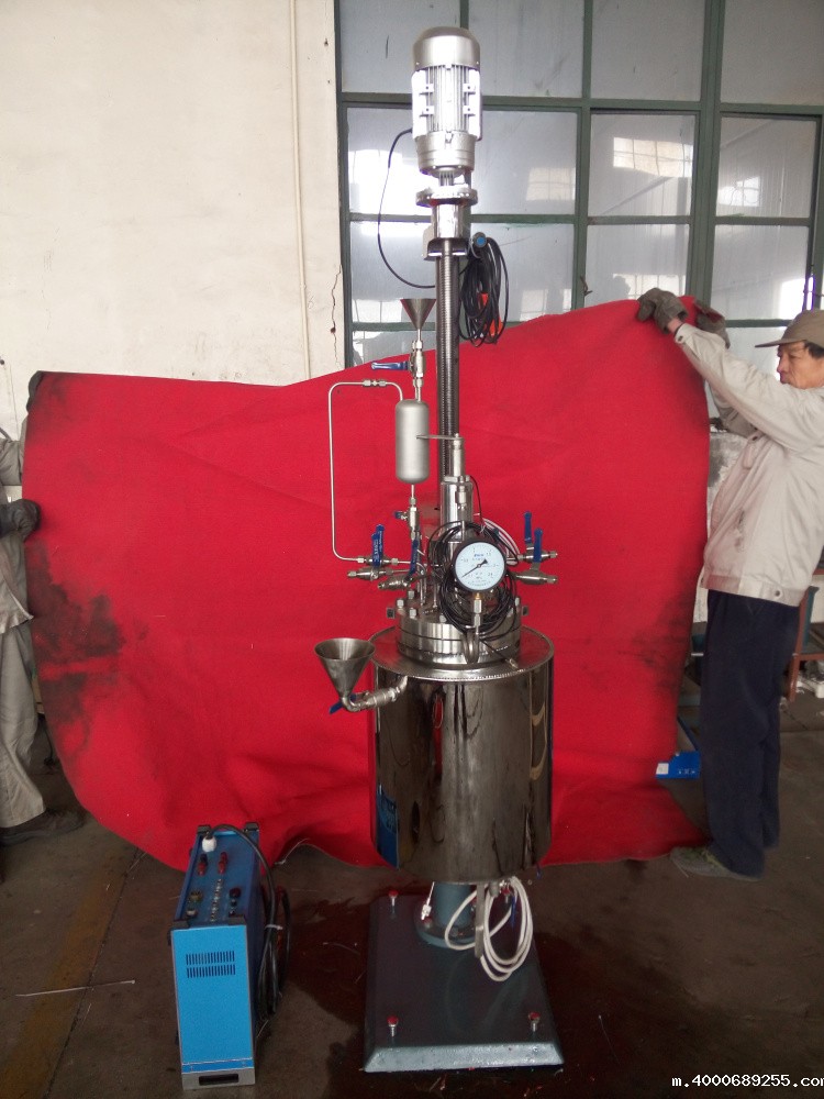 TFCF系列-釜体带视镜、电加热管加热、带在线加料罐2